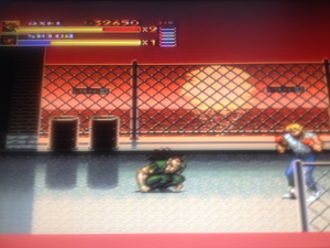 Bare Knuckle 3 - Shiva