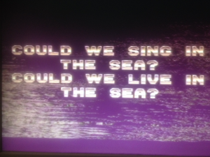 Ecco The Dolphin