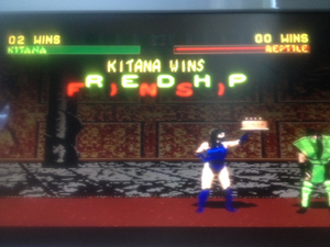 Mortal Kombat 2 - Kitana Birthday Cake FRIENDSHIP