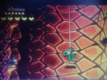 Load image into Gallery viewer, Battletoads - Wookie Hole
