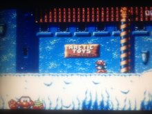 Load image into Gallery viewer, James Pond: Codename ROBOCOD