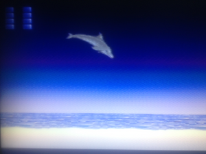 Ecco The Dolphin