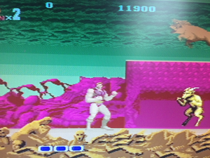 Altered Beast - Level 5
