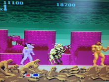 Load image into Gallery viewer, Altered Beast - Final Level (WOLF)